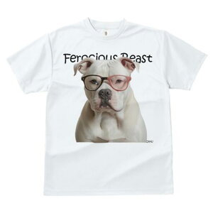 AJuhbO TVc fB[X t@  t  vg JWA 킢 lԗp h ̃fUC ʔ Kl AJuhbO