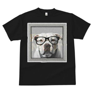 AJsbgueA TVc Y LbY t@  t  vg JWA 킢 lԗp h ̃fUC ʔ Kl AJsbgueA t