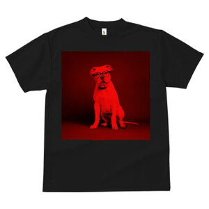 AJuhbO TVc Y LbY t@  t  vg JWA 킢 lԗp h ̃fUC ʔ Kl AJuhbO