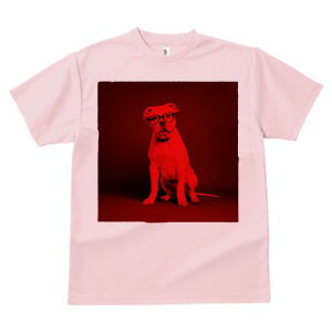 AJuhbO TVc Y LbY t@  t  vg JWA 킢 lԗp h ̃fUC ʔ Kl AJuhbO