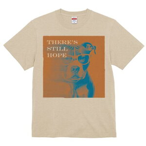 AJsbgueA TVc Y LbY t@  t  vg JWA 킢 lԗp h ̃fUC ʔ Kl AJsbgueA l