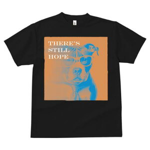 AJsbgueA TVc Y LbY t@  t  vg JWA 킢 lԗp h ̃fUC ʔ Kl AJsbgueA l