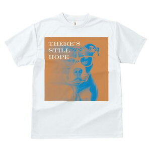 AJsbgueA TVc Y LbY t@  t  vg JWA 킢 lԗp h ̃fUC ʔ Kl AJsbgueA l