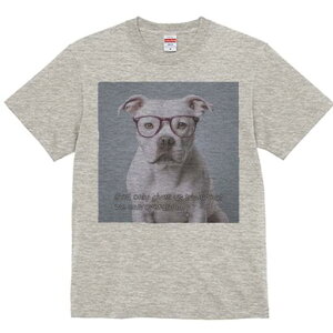 AJsbgueA TVc Y LbY t@  t  vg JWA 킢 lԗp h ̃fUC ʔ Kl AJsbgueA