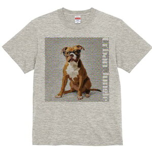 AJsbgueA TVc Y LbY t@  t  vg JWA 킢 lԗp h ̃fUC ʔ Kl AJsbgueA