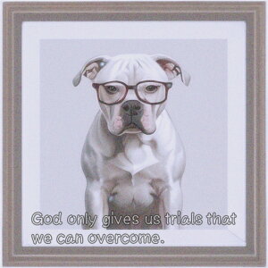 Kl AJuhbO z NbVJo[ 45×45cm Aj}   NbV{̕t ` t@