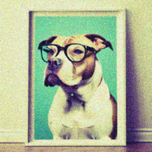 Kl AJuhbO |X^[ NbVJo[ 45×45cm Aj}   NbV{̕t ` t@