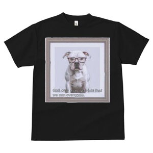 AJuhbO TVc Y LbY t@  t  vg JWA 킢 lԗp h ̃fUC ʔ Kl AJuhbO z