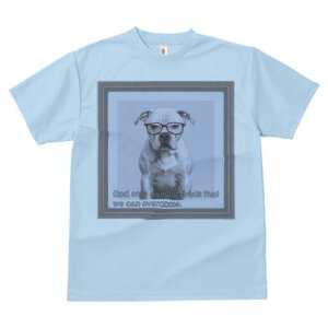 AJuhbO TVc Y LbY t@  t  vg JWA 킢 lԗp h ̃fUC ʔ Kl AJuhbO z