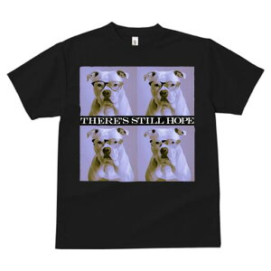 AJsbgueA TVc fB[X t@  t  vg JWA 킢 lԗp h ̃fUC ʔ Kl AJsbgueA