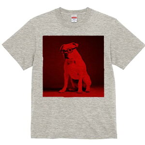 AJuhbO TVc Y LbY t@  t  vg JWA 킢 lԗp h ̃fUC ʔ Kl AJuhbO