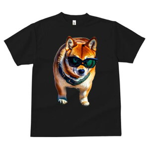 Č TVc fB[X t@  t  vg JWA 킢 lԗp h ̃fUC ʔ TOX Č