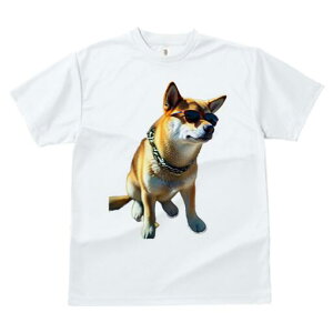 Č TVc fB[X t@  t  vg JWA 킢 lԗp h ̃fUC ʔ TOX Č lbNX