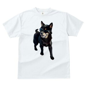 Č TVc fB[X t@  t  vg JWA 킢 lԗp h ̃fUC ʔ TOX Č