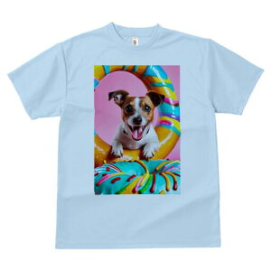 WbNbZeA TVc Y LbY t@  t  vg JWA 킢 lԗp h ̃fUC ʔ h[ic WbNbZeA XC[c 