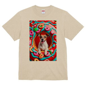 WbNbZeA TVc Y LbY t@  t  vg JWA 킢 lԗp h ̃fUC ʔ h[ic WbNbZeA XC[c 