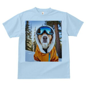 r[O TVc Y LbY t@  t  vg JWA 킢 lԗp h ̃fUC ʔ XL[ r[O XL[EFA S[O ~