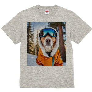 r[O TVc Y LbY t@  t  vg JWA 킢 lԗp h ̃fUC ʔ XL[ r[O XL[EFA S[O ~