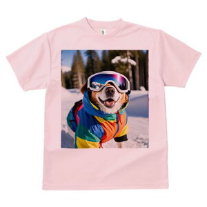 I[XgAVFp[h TVc Y LbY t@  t  vg JWA 킢 lԗp h ̃fUC ʔ XL[EFA I[XgAVFp