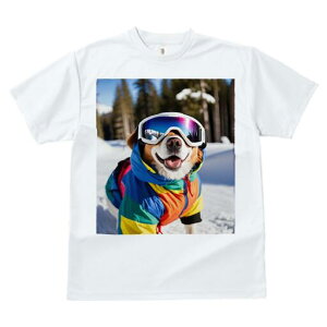 I[XgAVFp[h TVc fB[X t@  t  vg JWA 킢 lԗp h ̃fUC ʔ XL[EFA I[XgAVFp[h