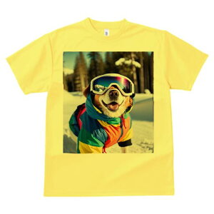 I[XgAVFp[h TVc Y LbY t@  t  vg JWA 킢 lԗp h ̃fUC ʔ XL[EFA I[XgAVFp