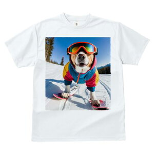 ~bNX TVc Y LbY t@  t  vg JWA 킢 lԗp h ̃fUC ʔ XL[ ~bNX XL[EFA S[O R