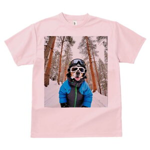 R[M[ TVc Y LbY t@  t  vg JWA 킢 lԗp h ̃fUC ʔ XL[ R[M[  ~ XL[EFA