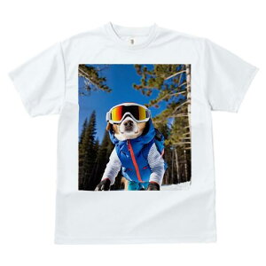 r[O TVc fB[X t@  t  vg JWA 킢 lԗp h ̃fUC ʔ XL[ r[O XL[EFA S[O ~