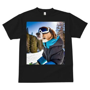 r[O TVc fB[X t@  t  vg JWA 킢 lԗp h ̃fUC ʔ XL[ r[O ~  XL[EFA