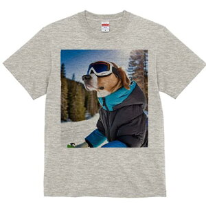 r[O TVc Y LbY t@  t  vg JWA 킢 lԗp h ̃fUC ʔ XL[ r[O ~  XL[EFA