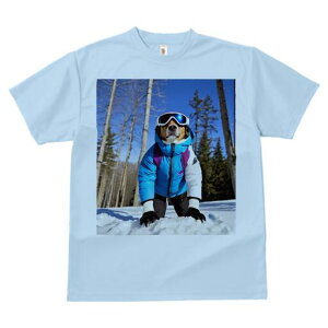 R[M[ TVc Y LbY t@  t  vg JWA 킢 lԗp h ̃fUC ʔ XL[EFA R[M[ XL[S[O  ~