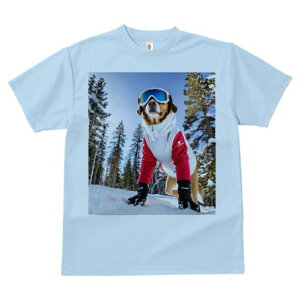 ~bNX TVc Y LbY t@  t  vg JWA 킢 lԗp h ̃fUC ʔ XL[EFA ~bNX XL[S[O R ~