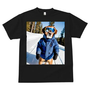 S[fg[o[ TVc fB[X t@  t  vg JWA 킢 lԗp h ̃fUC ʔ XL[EFA S[fg[o[ XL[