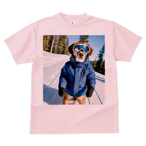 S[fg[o[ TVc Y LbY t@  t  vg JWA 킢 lԗp h ̃fUC ʔ XL[EFA S[fg[o[ XL