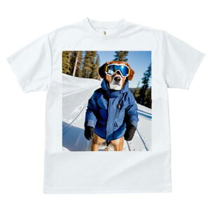 S[fg[o[ TVc fB[X t@  t  vg JWA 킢 lԗp h ̃fUC ʔ XL[EFA S[fg[o[ XL[