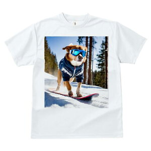 {[_[R[ TVc fB[X t@  t  vg JWA 킢 lԗp h ̃fUC ʔ Xm[{[h {[_[R[  ~ XL[EFA