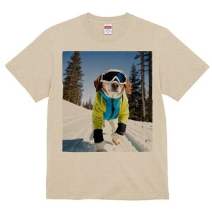 r[O TVc Y LbY t@  t  vg JWA 킢 lԗp h ̃fUC ʔ XL[ r[O ~  XL[EFA