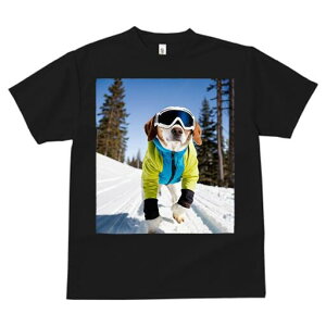 r[O TVc fB[X t@  t  vg JWA 킢 lԗp h ̃fUC ʔ XL[ r[O ~  XL[EFA