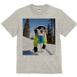 r[O TVc Y LbY t@  t  vg JWA 킢 lԗp h ̃fUC ʔ XL[ r[O ~  XL[EFA