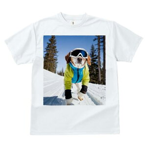 r[O TVc fB[X t@  t  vg JWA 킢 lԗp h ̃fUC ʔ XL[ r[O ~  XL[EFA