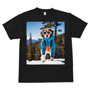 r[O TVc fB[X t@  t  vg JWA 킢 lԗp h ̃fUC ʔ XL[EFA r[O XL[S[O R ~