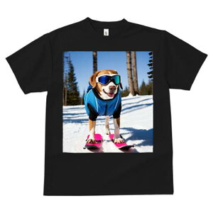 r[O TVc fB[X t@  t  vg JWA 킢 lԗp h ̃fUC ʔ XL[ r[O  ~ XL[EFA