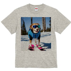 r[O TVc Y LbY t@  t  vg JWA 킢 lԗp h ̃fUC ʔ XL[ r[O  ~ XL[EFA