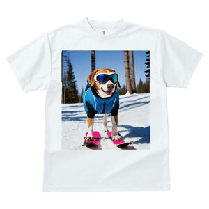 r[O TVc fB[X t@  t  vg JWA 킢 lԗp h ̃fUC ʔ XL[ r[O  ~ XL[EFA