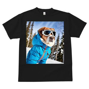  TVc fB[X t@  t  vg JWA 킢 lԗp h ̃fUC ʔ XL[EFA  S[O R ~