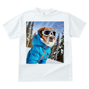  TVc fB[X t@  t  vg JWA 킢 lԗp h ̃fUC ʔ XL[EFA  S[O R ~