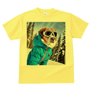  TVc Y LbY t@  t  vg JWA 킢 lԗp h ̃fUC ʔ XL[EFA  S[O R ~