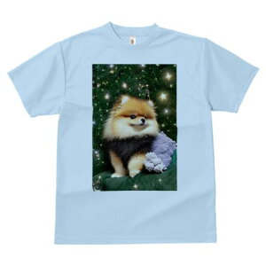 |jA TVc Y LbY t@  t  vg JWA 킢 lԗp h ̃fUC ʔ NX}X |jA NX}Xc[ ʂ