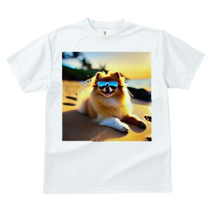 |jA TVc fB[X t@  t  vg JWA 킢 lԗp h ̃fUC ʔ TOX |jA r[` C z