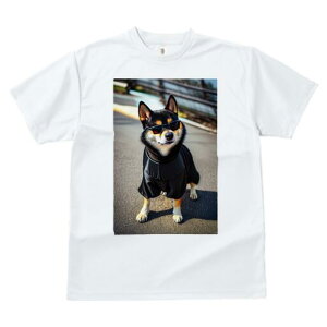 Č TVc fB[X t@  t  vg JWA 킢 lԗp h ̃fUC ʔ TOX Č 